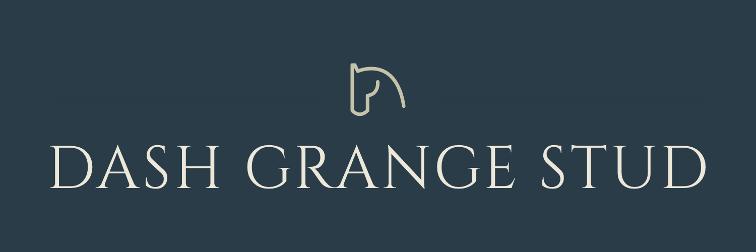 Dash Grange Stud banner