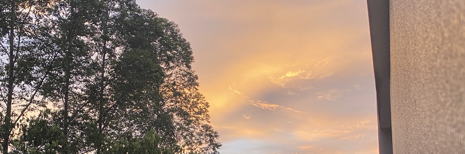 darlo__'s profile banner image