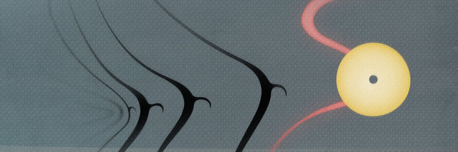 Loïs Voirol's banner