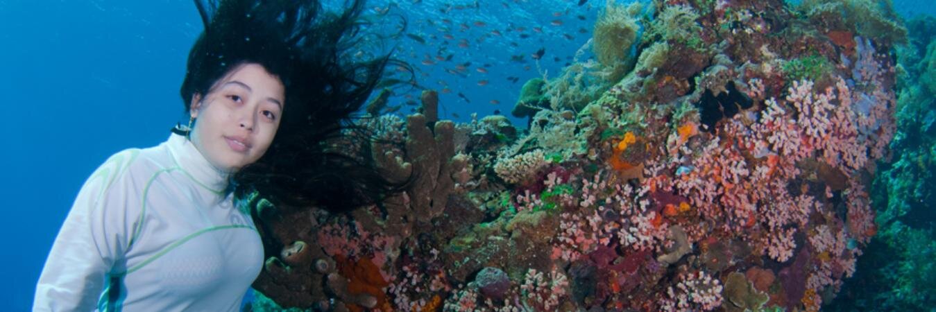 DiveAlorDive's profile banner image