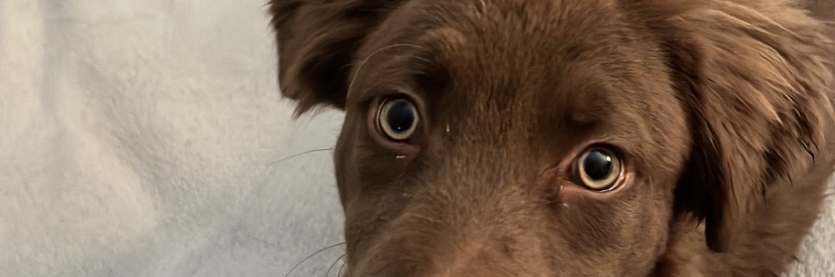 XhermAndX's profile banner image