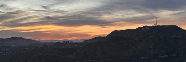 BertleTurtleson Profile Banner