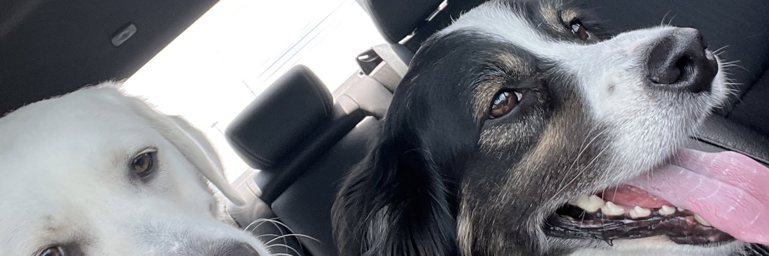 hannahbb24's profile banner image