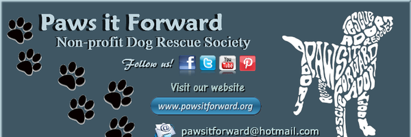 PawsitForward Profile Banner