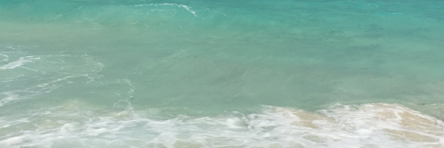 C_Dog369's profile banner image