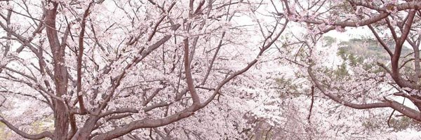 neulsaem Profile Banner