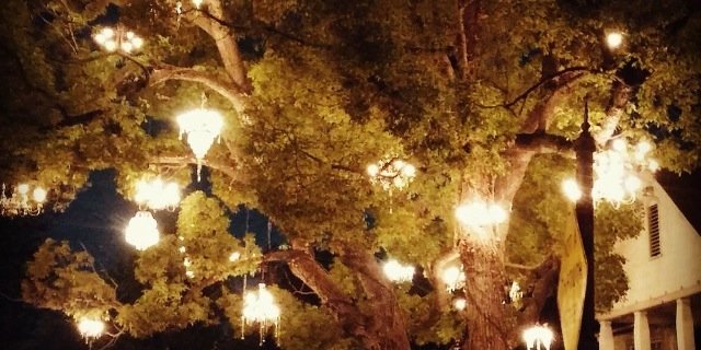 lovly_ladi's profile banner image