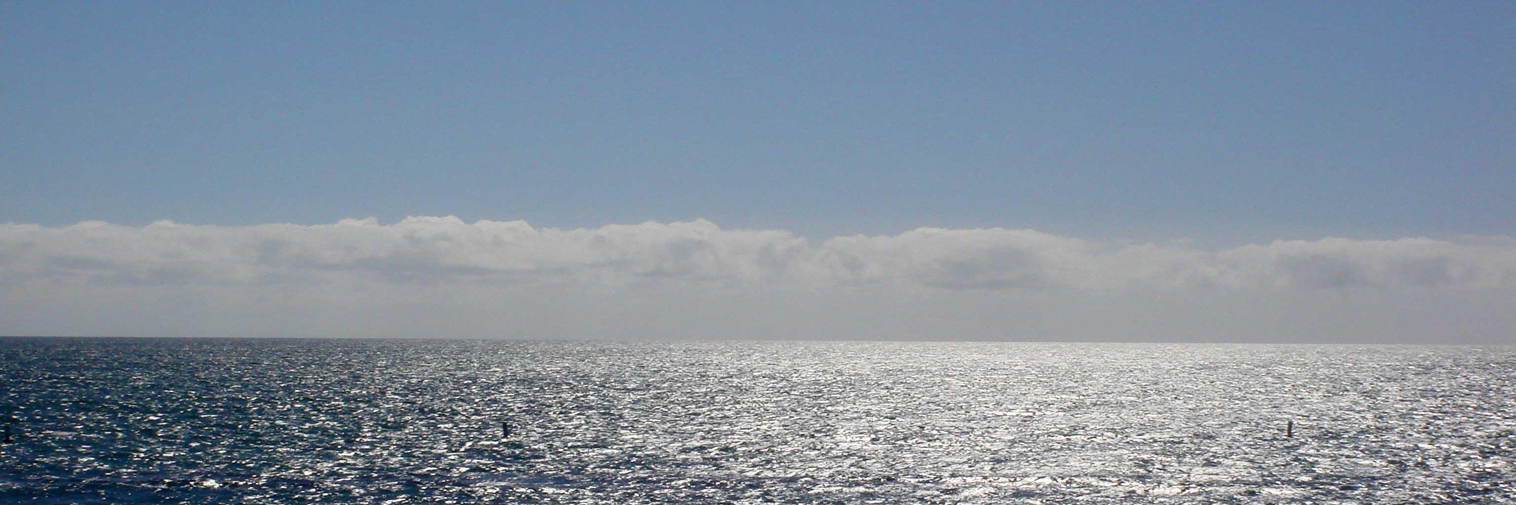 Rebecca_Davis_'s profile banner image