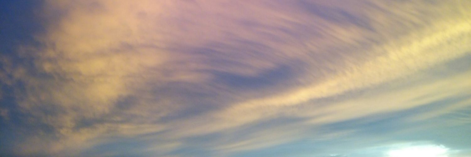 mt8tm_y's profile banner image