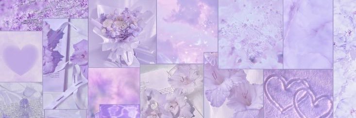 STZ_Grace's profile banner image