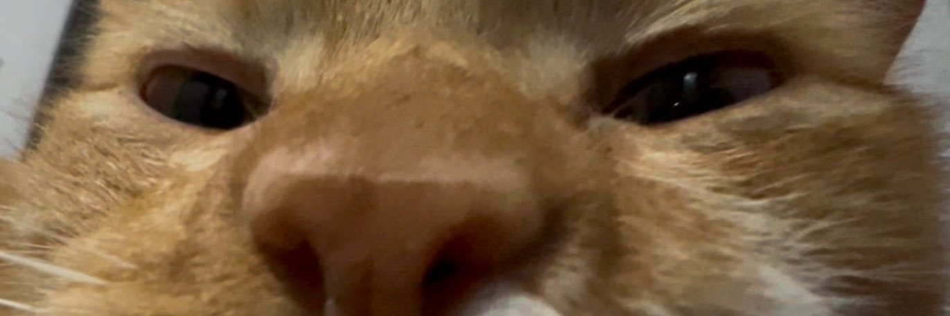 goeszin's profile banner image
