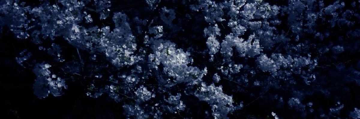 viminR's profile banner image