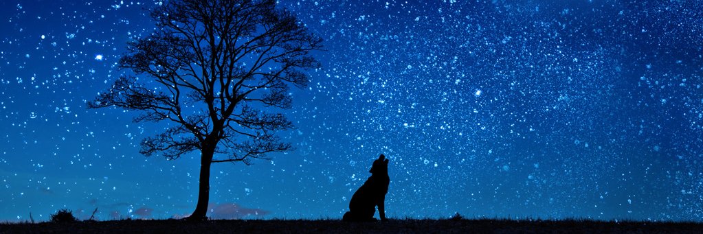 blau_wasser's profile banner image