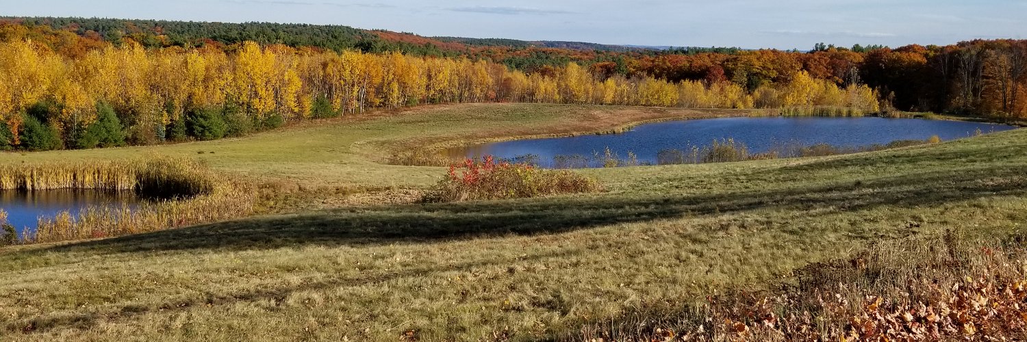 Brian L Chapman banner