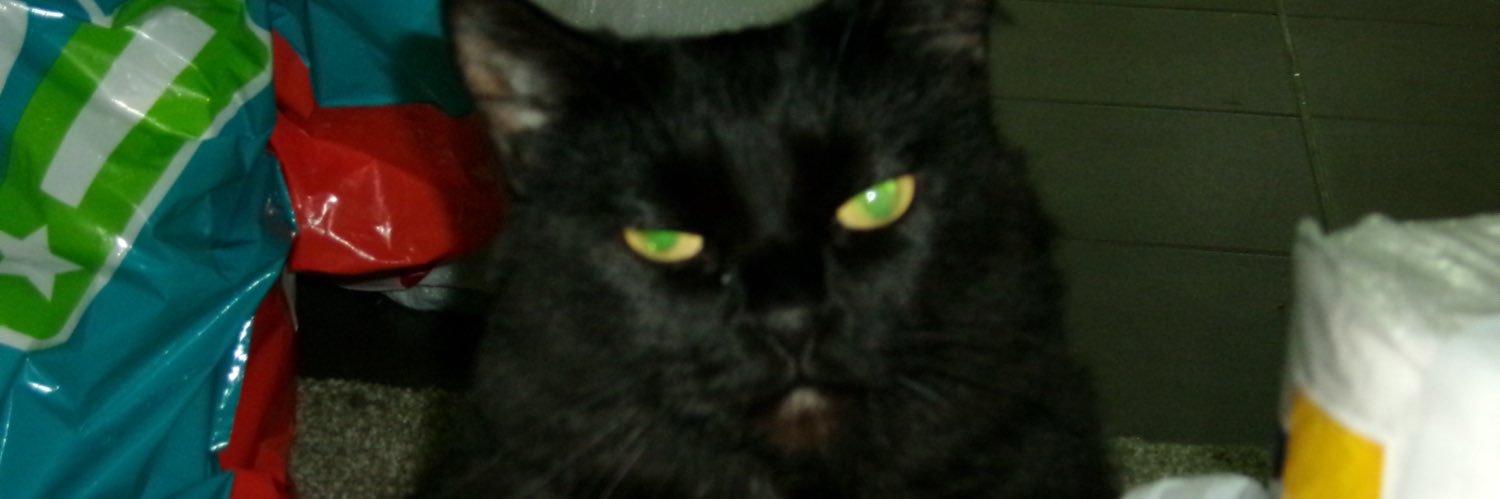 sarahgudgell's profile banner image
