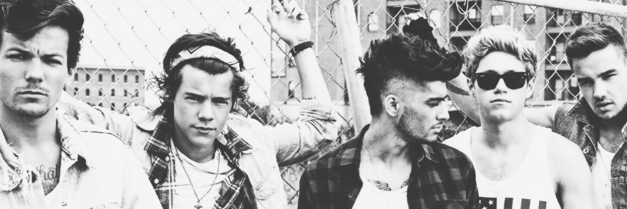 One Direction banner