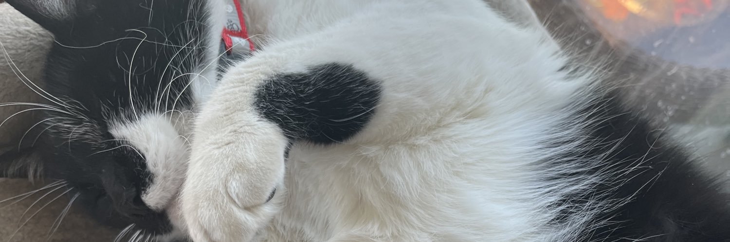 Gingority's profile banner image
