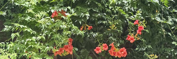 dduungdd Profile Banner
