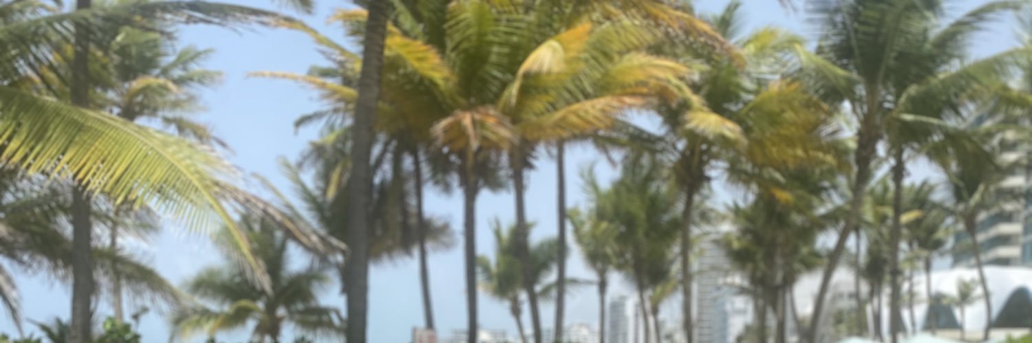 palm banner