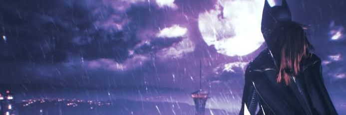 Barbara Gordon banner