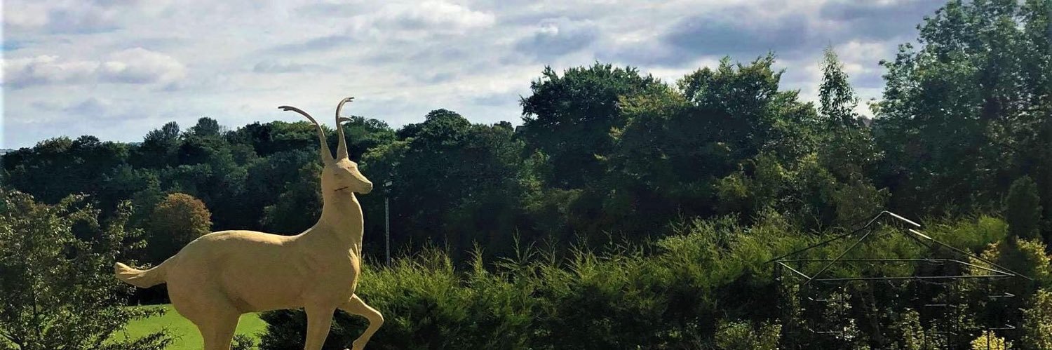 RingwoodHall's profile banner image