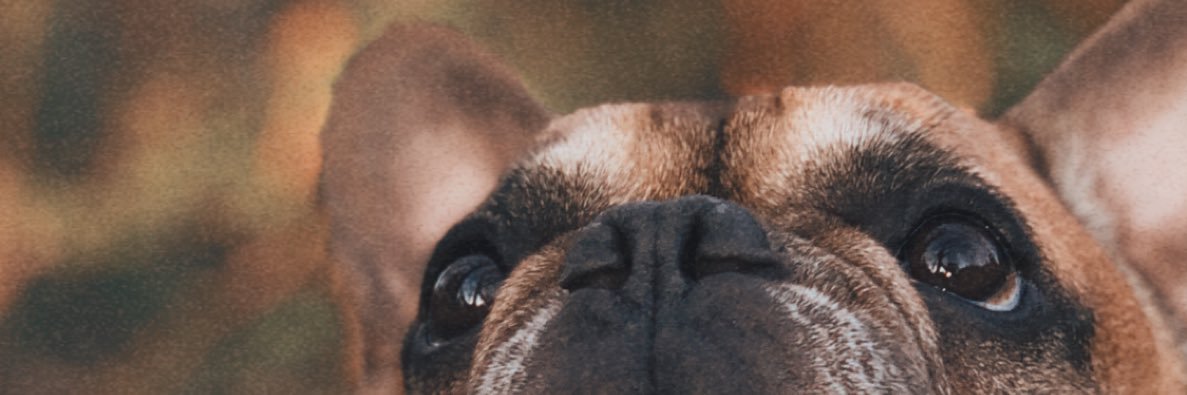 ShortShelby19's profile banner image