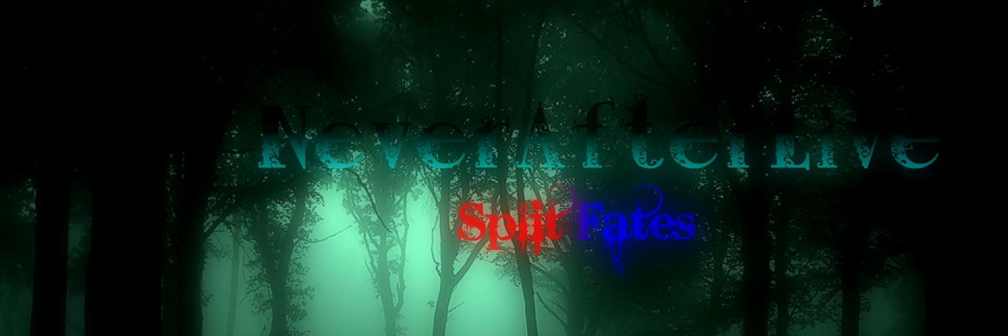NeverAfterlive's profile banner image