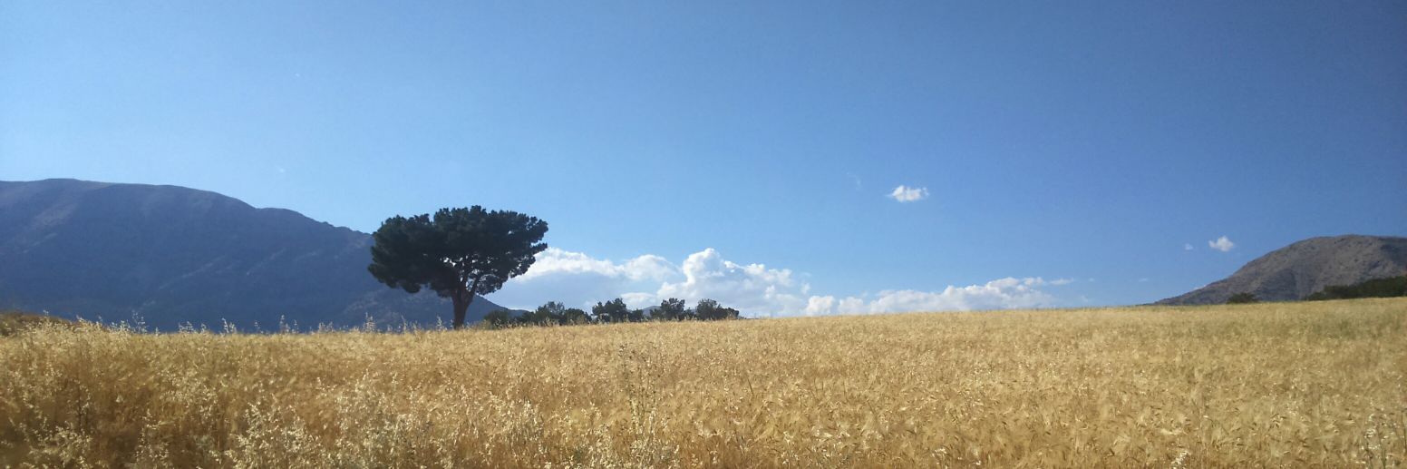 suleymanmg's profile banner image