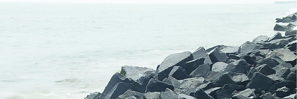 tanwar1D's profile banner image
