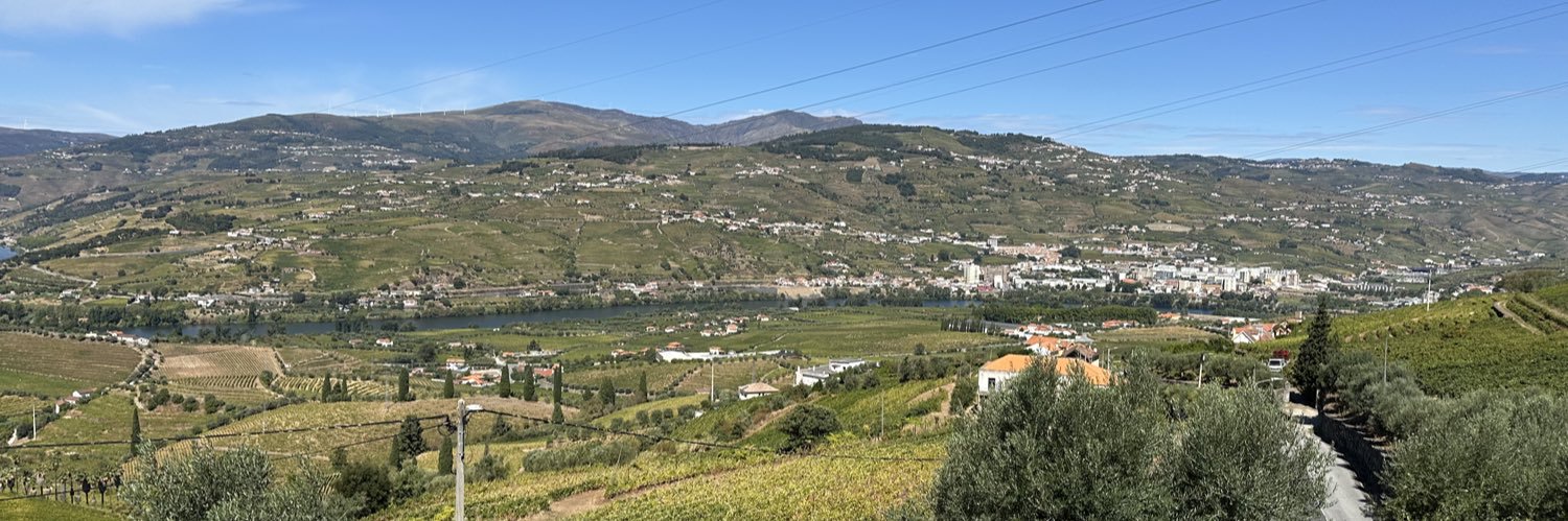 Shane R. Reynolds banner