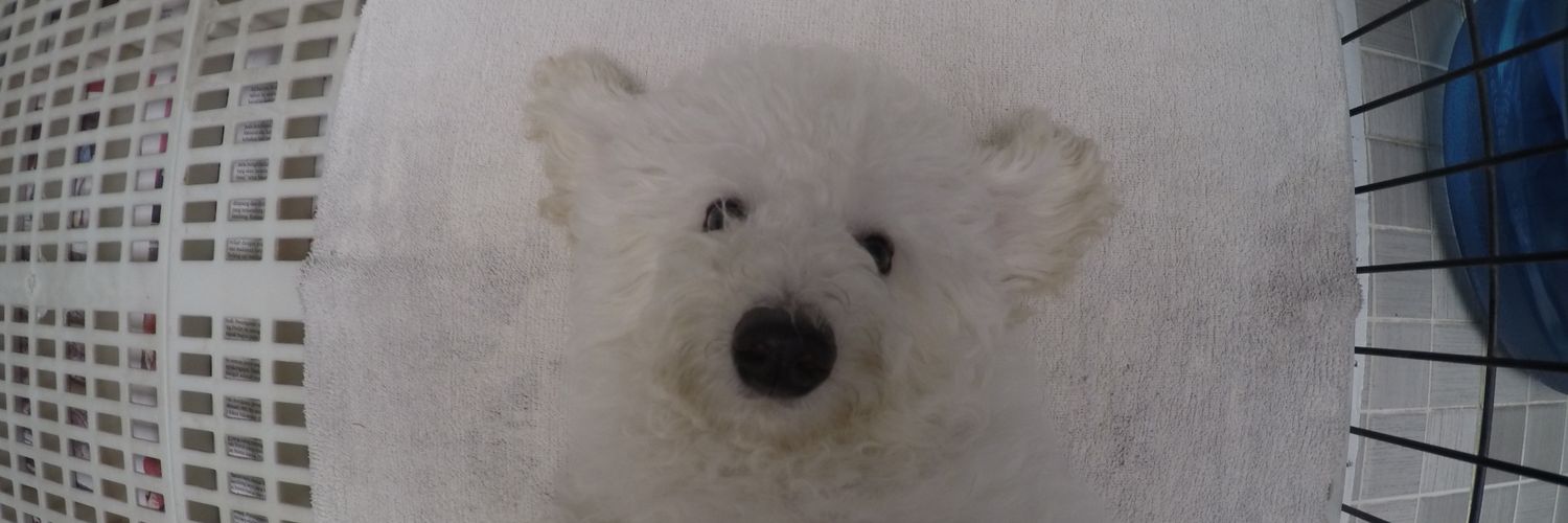 MarshaMrz's profile banner image