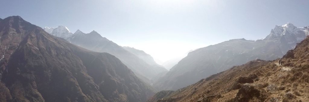 Dr Brian O'Callaghan banner