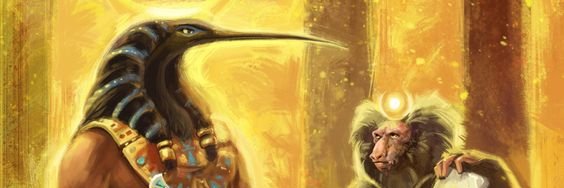 wmthokozisi's profile banner image