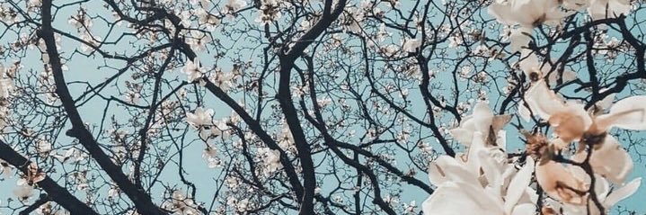 MaryleneGRAU's profile banner image