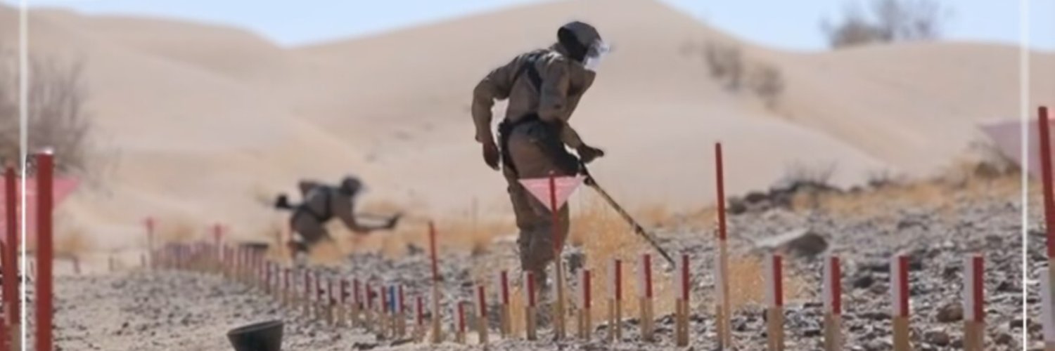 Masam Landmine Clearance Project - Yemen banner