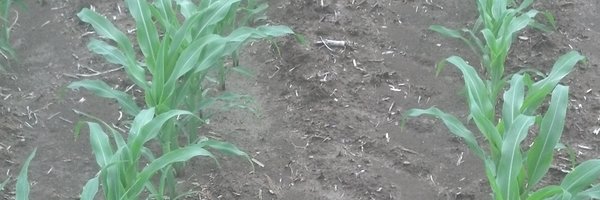 MikeTheCropGuy Profile Banner