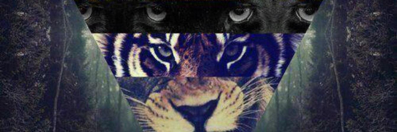 Danielaosorio95's profile banner image