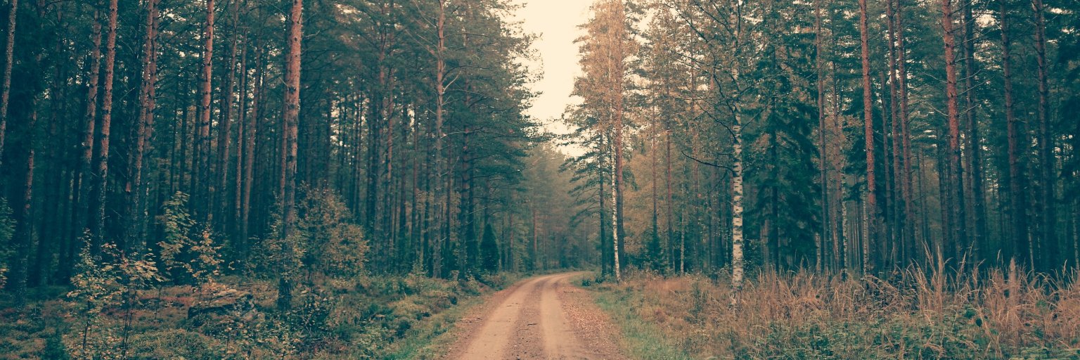 ViewtifulSchulz's profile banner image