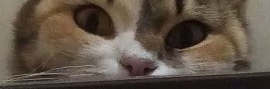 CallMeMahtabb's profile banner image