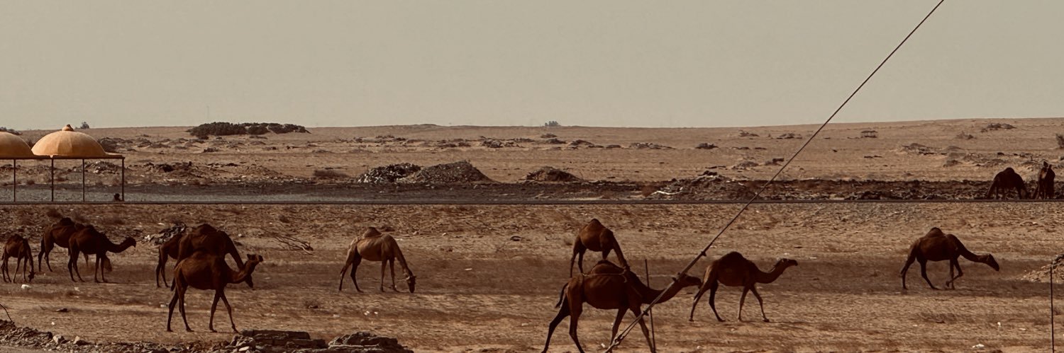 lq8t00's profile banner image