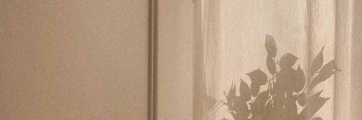 🦋 FAI 🦋 banner