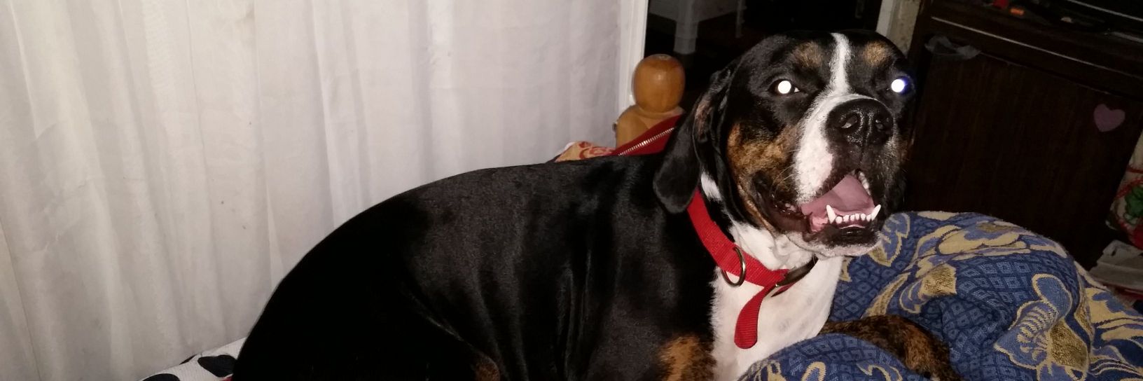 mindy16987's profile banner image