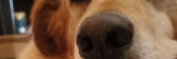 Alberto38544032 Profile Banner