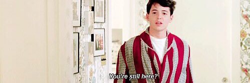 the real iotapup banner