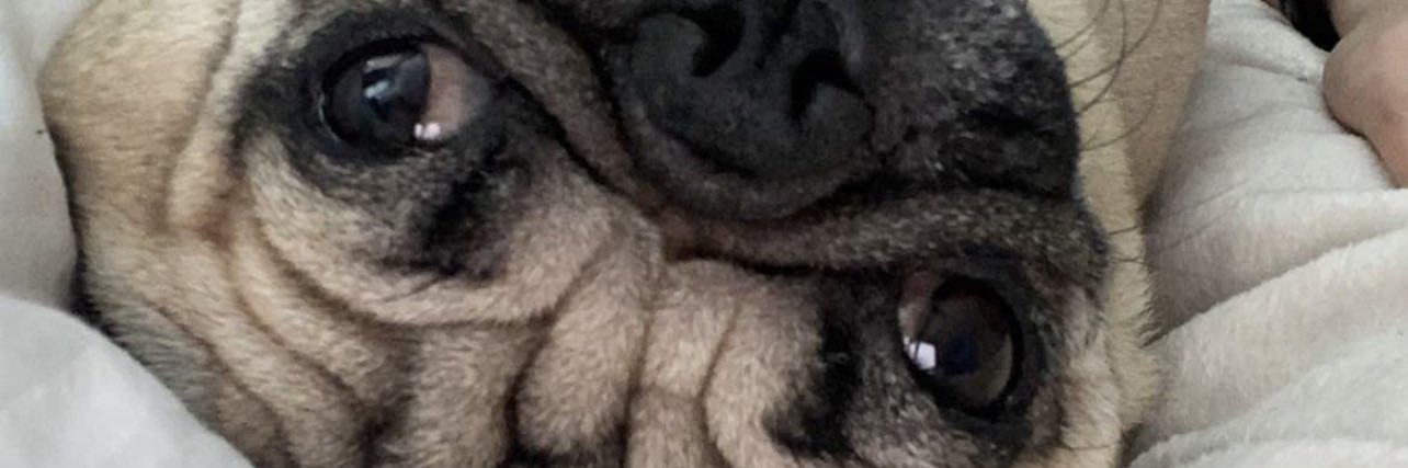 Hunter Strait banner