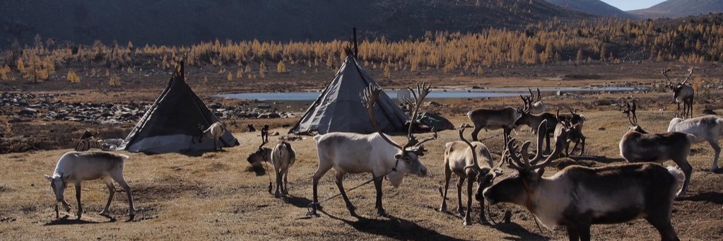 Мэндбаяр МӨНХДӨЛ banner