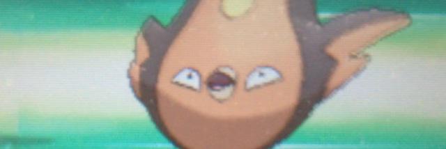 sakemon_'s profile banner image