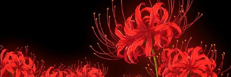 enemigos__fumar's profile banner image