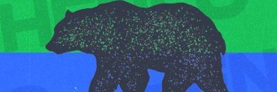 p banner