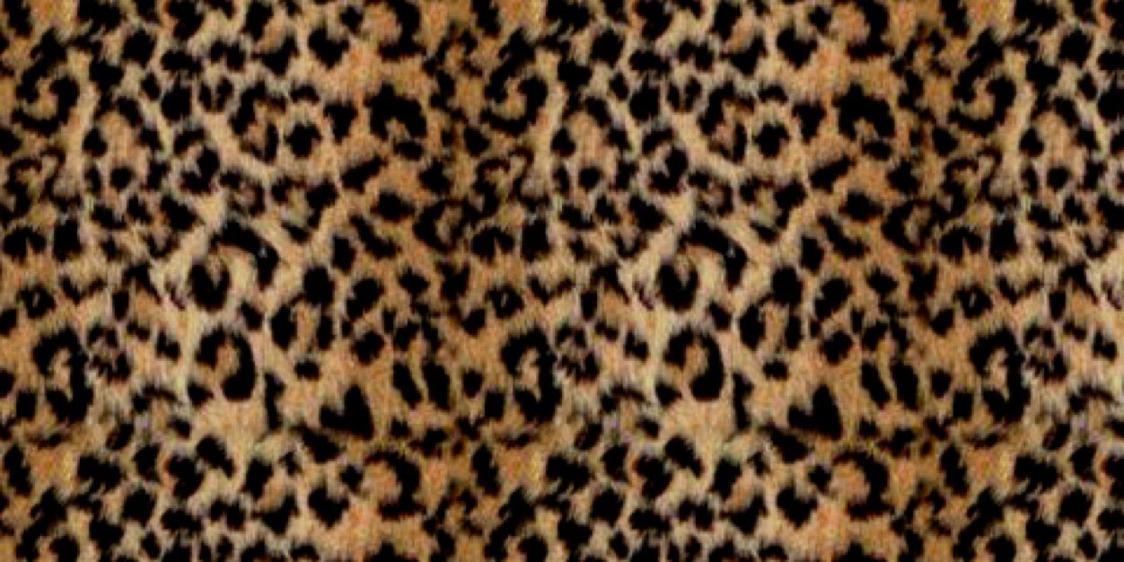 Absky66's profile banner image